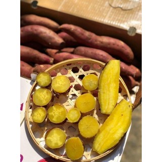 ( JENNY FRUIT ) Thùng  KHOAI LANG NHẬT 3kg lun thùng