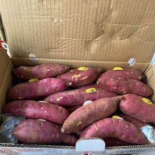 ( JENNY FRUIT ) Thùng  KHOAI LANG NHẬT 3kg lun thùng