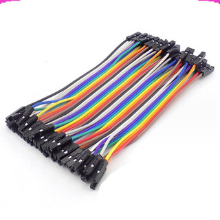 Dây bus 2.54 đủ màu 10 - 40cm ( 40 sợi 1 bus)