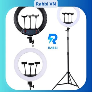 Đèn Livestream 45cm - Bộ Chụp Ảnh và Quay Video Đa Nhiệm, Ánh Sáng 3 Chế Độ Màu, Kèm Gậy 2m1 và Điều Khiển - Rabbi VN