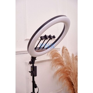 Đèn Livestream 45cm - Bộ Chụp Ảnh và Quay Video Đa Nhiệm, Ánh Sáng 3 Chế Độ Màu, Kèm Gậy 2m1 và Điều Khiển - Rabbi VN