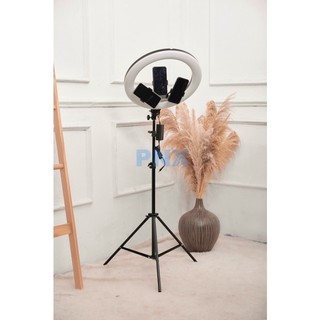 Đèn Livestream 45cm - Bộ Chụp Ảnh và Quay Video Đa Nhiệm, Ánh Sáng 3 Chế Độ Màu, Kèm Gậy 2m1 và Điều Khiển - Rabbi VN