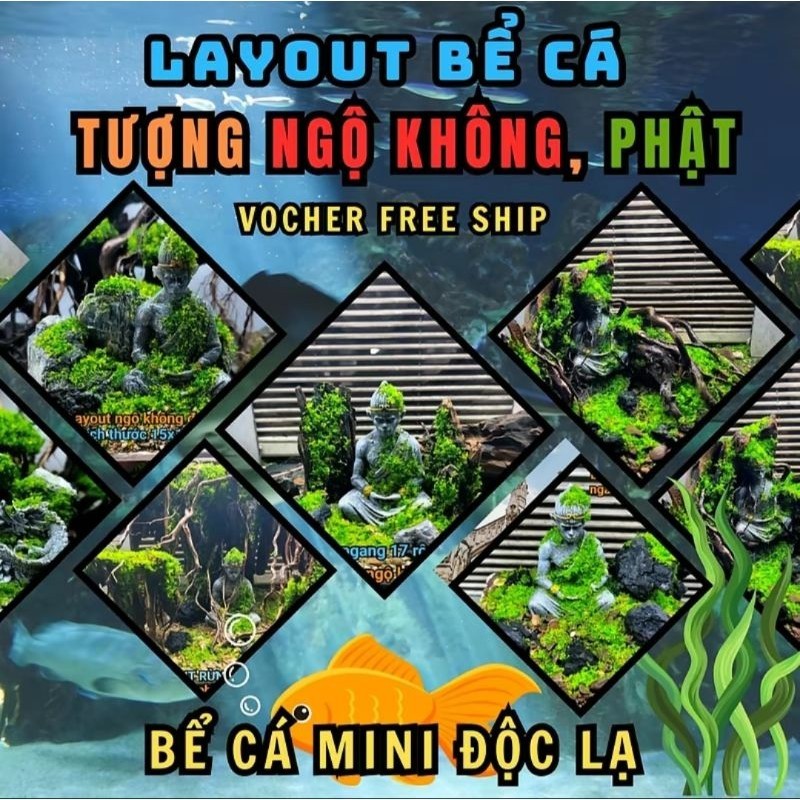[Layout setup sẵn] bể cá để bàn, bể cá thủy sinh setup sẵn các kích ...