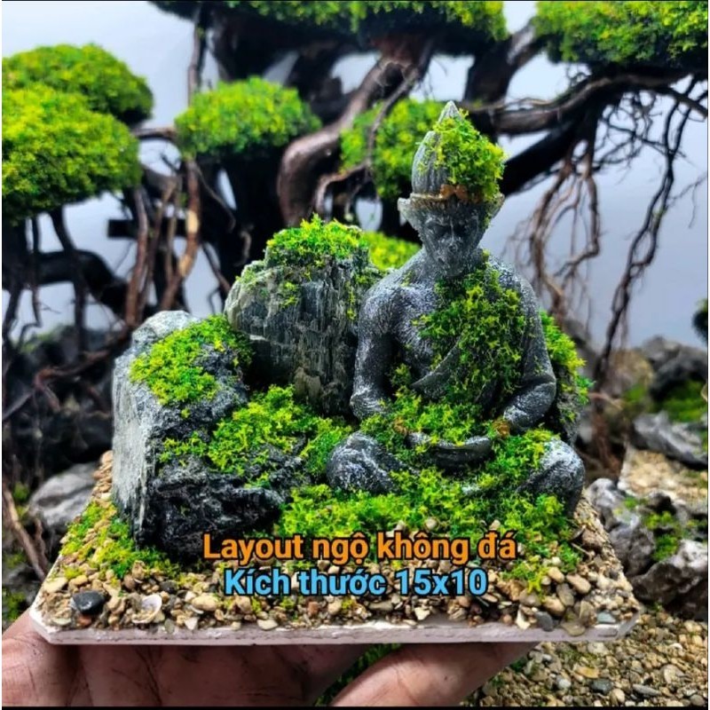 [Layout setup sẵn] bể cá để bàn, bể cá thủy sinh setup sẵn các kích ...