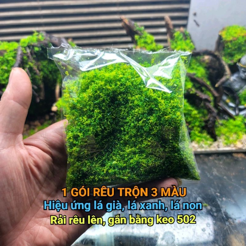 Rêu nhựa 3 màu tạo tiểu cảnh, thủy sinh bể cá mini độc lạ, gắn trang ...