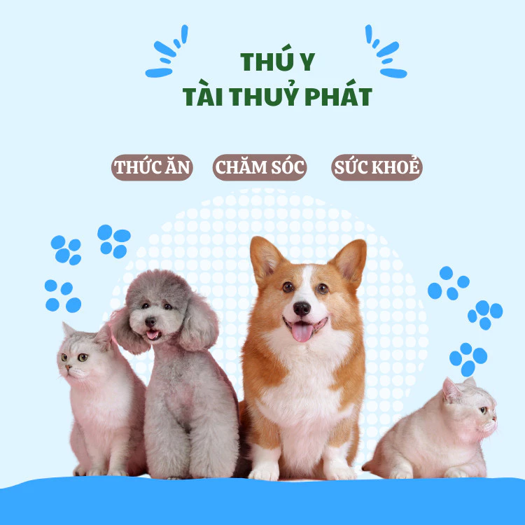 Công dụng tăng đề kháng của vitamin thú cưng