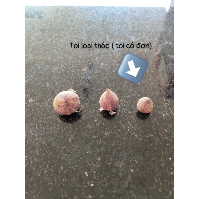 Tỏi Cô Đơn Yên Châu ( Loại Thóc ). 1kg tỏi cô đơn Yên Châu ( Loại Thóc)