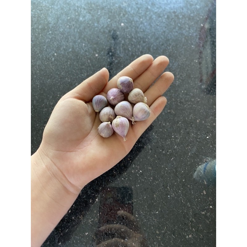Tỏi Cô Đơn Yên Châu ( Loại Thóc ). 1kg tỏi cô đơn Yên Châu ( Loại Thóc)