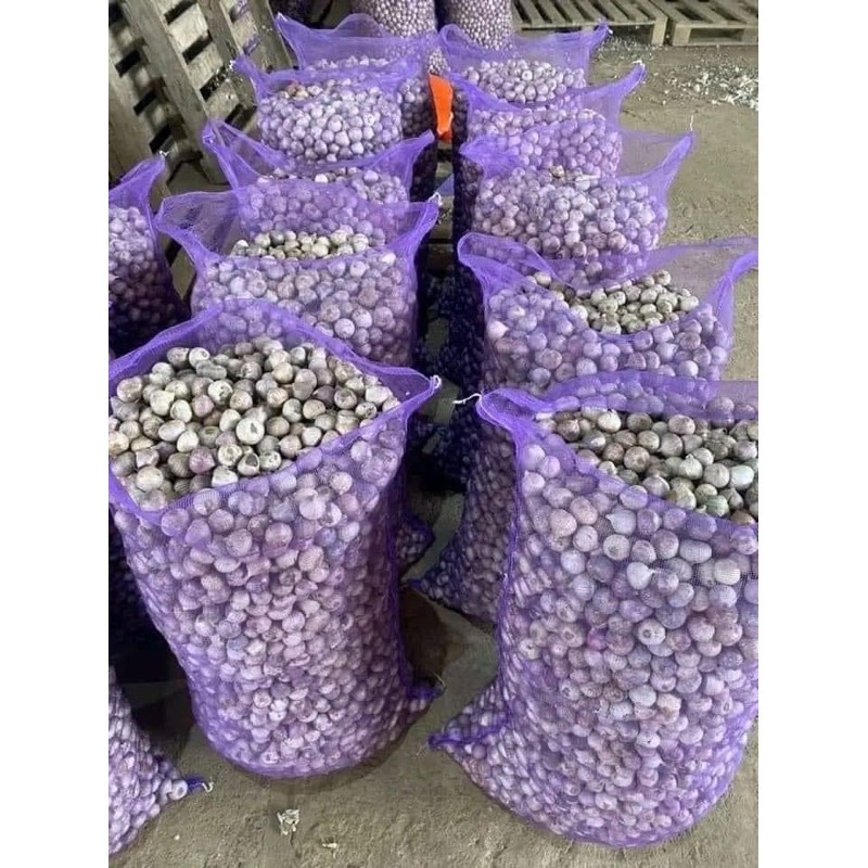 Tỏi Cô Đơn Yên Châu ( Loại Thóc ). 1kg tỏi cô đơn Yên Châu ( Loại Thóc)
