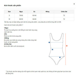 Bodysuit Nữ Long Sleeves Plain , Chất Vải Thun Gân Nhỏ Thoải Má , WBS001  SOME HOW STORE