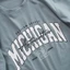 Áo thun nam cổ tròn MICHIGAN vải cotton mịn -STS0155