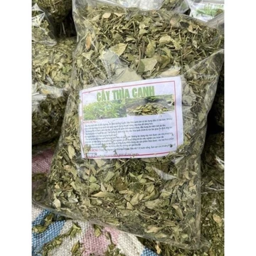 Dây Thìa Canh Khô Nguyên Chất 1kg | Ổn Định Đường Huyết (Hàng Chuẩn Tự Nhiên)