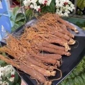 Nhân sâm khô (hồng sâm)