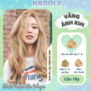 Thuốc Nhuộm Tóc Màu Vàng Ánh Kim KADOLA Không Tẩy Nhuộm Tóc  Collagen Siêu Dưỡng
