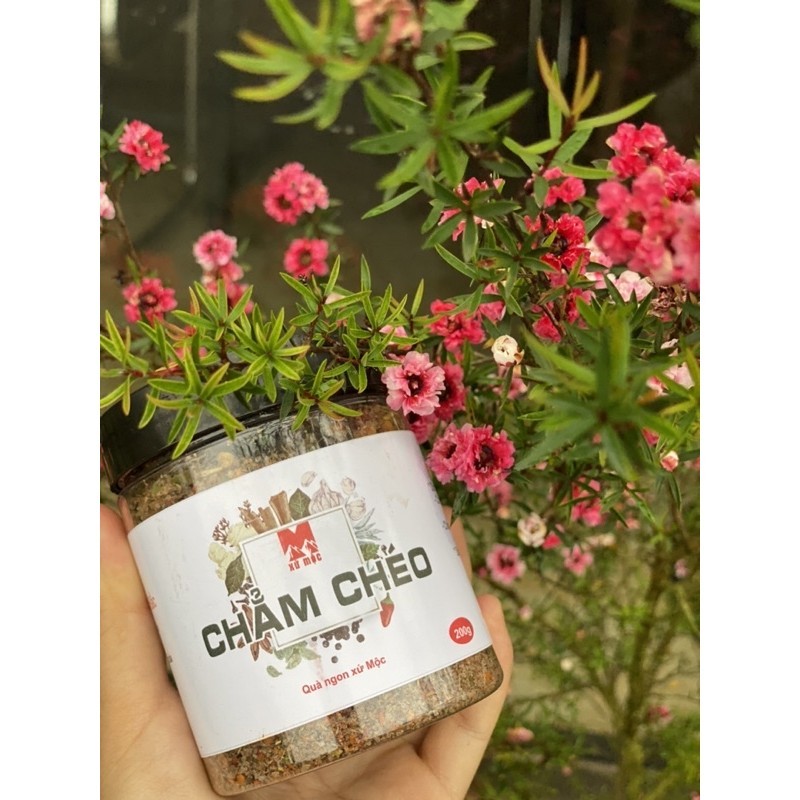 Combo 5 lọ Muối chẳm chéo Tây Bắc. Đặc sản Tây Bắc