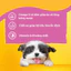 Bộ Túi Thức Ăn Ướt Cho Chó Con PEDIGREE Dạng Sốt Vị Gà, 130g