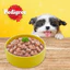 Bộ Túi Thức Ăn Ướt Cho Chó Con PEDIGREE Dạng Sốt Vị Gà, 130g