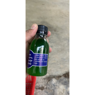NAA Kích Ra Rễ Giâm Chiết Cành 100ml). Hàng được các hãng cây cảnh khuyên dùng.