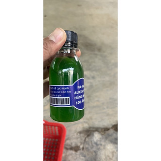 NAA Kích Ra Rễ Giâm Chiết Cành 100ml). Hàng được các hãng cây cảnh khuyên dùng.