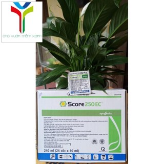VTNN Score 250EC- Thuốc đặc trị nấm, phấn trắng, mốc sương cho cây trồng NGUYEN TRI