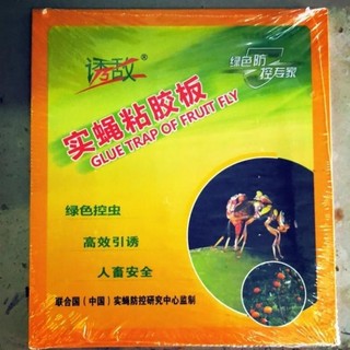 Bẫy ruồi vàng, ruồi đục trái dạng miếng-Nguyễn Trí