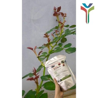Phân hữu cơ khoáng Nhật nhập khẩu nguyên bao 20KG - bổ sung Humic (gói 1kg) túi ZIP