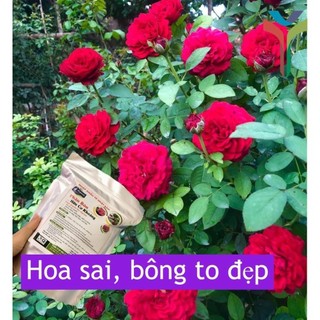 Phân hữu cơ khoáng Nhật nhập khẩu nguyên bao 20KG - bổ sung Humic (gói 1kg) túi ZIP