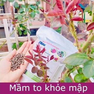 Phân hữu cơ khoáng Nhật nhập khẩu nguyên bao 20KG - bổ sung Humic (gói 1kg) túi ZIP