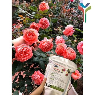 Phân hữu cơ khoáng Nhật nhập khẩu nguyên bao 20KG - bổ sung Humic (gói 1kg) túi ZIP