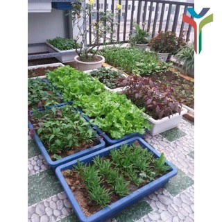 1Kg Đất sạch vi sinh siêu dinh dưỡng diệt trùng kháng khuẩn cực tốt chuyên dùng trồng Rau củ quả sạch - Cây cảnh - Hoa