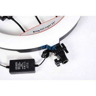 Đèn livestream 54cm chính hãng nhập khẩu hỗ trợ xuất VAT công ty - Rabbi VN