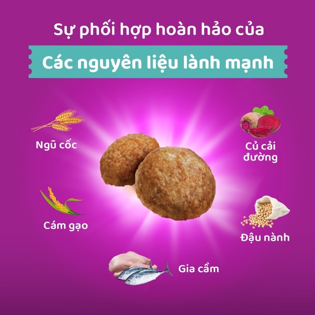 Ảnh Thức ăn dạng hạt cho mèo trưởng thành nuôi trong nhà WHISKAS, 1.1 kg 2