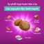 Thức ăn dạng hạt cho mèo trưởng thành nuôi trong nhà WHISKAS, 1.1 kg