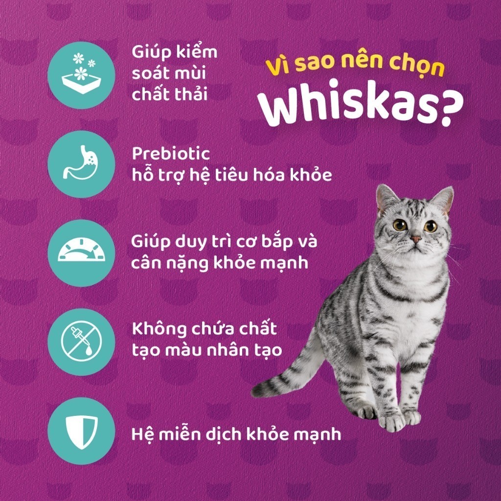 Đánh Giá Thức Ăn Hạt WHISKAS Cho Mèo Trưởng Thành Nuôi Trong Nhà 1.1kg - Dinh Dưỡng Toàn Diện