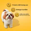 Thức ăn chó Mini Pedigree vị bò, cừu & rau củ túi 1.3kg