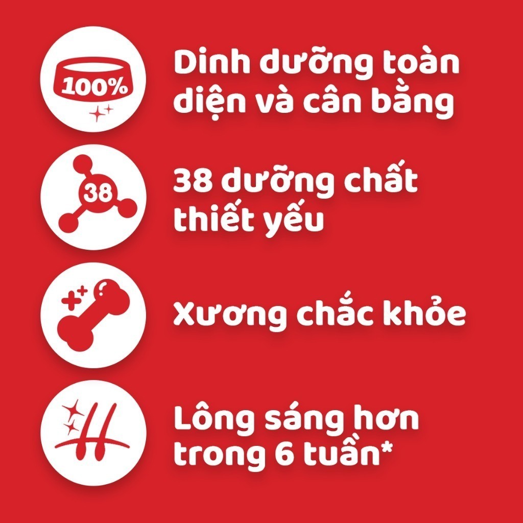 Ảnh Bộ 2 túi thức ăn PEDIGREE® cho chó lớn dạng hạt 1.5kg (2 túi) 2