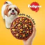 Thức ăn chó Mini Pedigree vị bò, cừu & rau củ túi 1.3kg