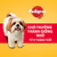 Thức ăn chó Mini Pedigree vị bò, cừu & rau củ túi 1.3kg