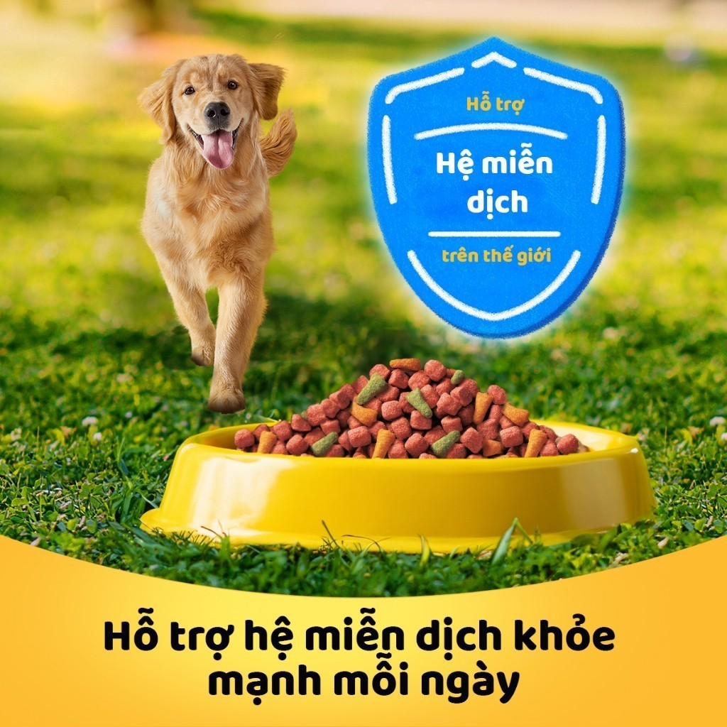 Ảnh Bộ 2 túi thức ăn PEDIGREE® cho chó lớn dạng hạt 1.5kg (2 túi) 1
