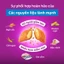 Thức ăn mèo Whiskas túi 400g