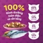 Hạt Khô Cho Mèo Con WHISKAS Junior, 450g.