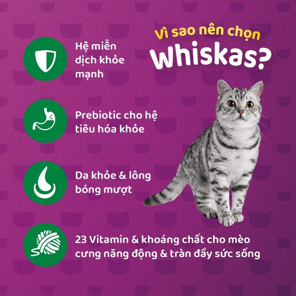 Ảnh Thức ăn dạng hạt khô cho mèo lớn WHISKAS - 1.2 kg 2