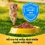 Thức Ăn Dạng Hạt Khô Cho Chó Lớn PEDIGREE Vị Bò Và Rau Củ