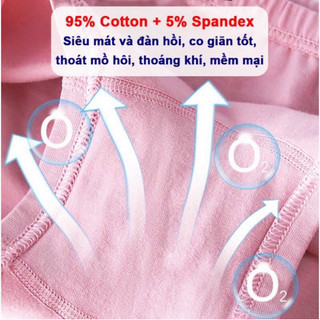 [Combo 10 Cái] Quần Chip Bé Gái Cotton Co Giãn 4 Chiều Chip Đùi Xinh Xắn Size 9-32kg