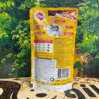 [COMBO] Pate Pedigree Gói 130g, Pate Cho Chó Con Và Trưởng Thành Cao Cấp Từ Thái Lan 6 Vị Đa Dạng Pet Kool