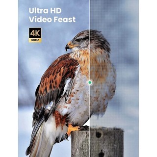 Cáp chuyển Micro HDMI Type D sang HDMI Type A dài từ 1-3m UGREEN HD127 - Hàng phân phối chính hãng - Bảo hành 18 thángCá