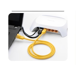 Cáp mạng đúc sẵn 2 đầu Cat 5 Ugreen NW103 - Hàng phân phối chính hãng - Bảo hành 18 tháng