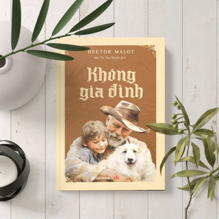 Sách - Combo 2 Cuốn: Không Gia Đình + Người Mẹ - SBOOKS