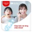 Bộ 4 Kem đánh răng Colgate ngừa sâu răng răng chắc khỏe 45g/tuýp