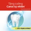 Bộ 2 Kem đánh răng Colgate ngừa sâu răng răng chắc khỏe 45g/tuýp